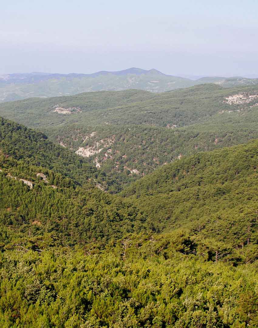 Gürses Arsa - Bölgeleri Keşfet -  1 