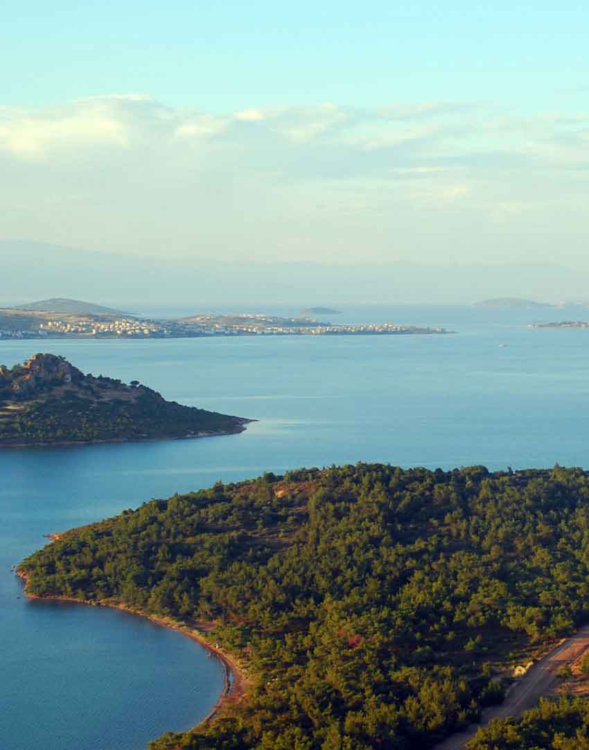Gürses Arsa - Bölgeleri Keşfet -  5 