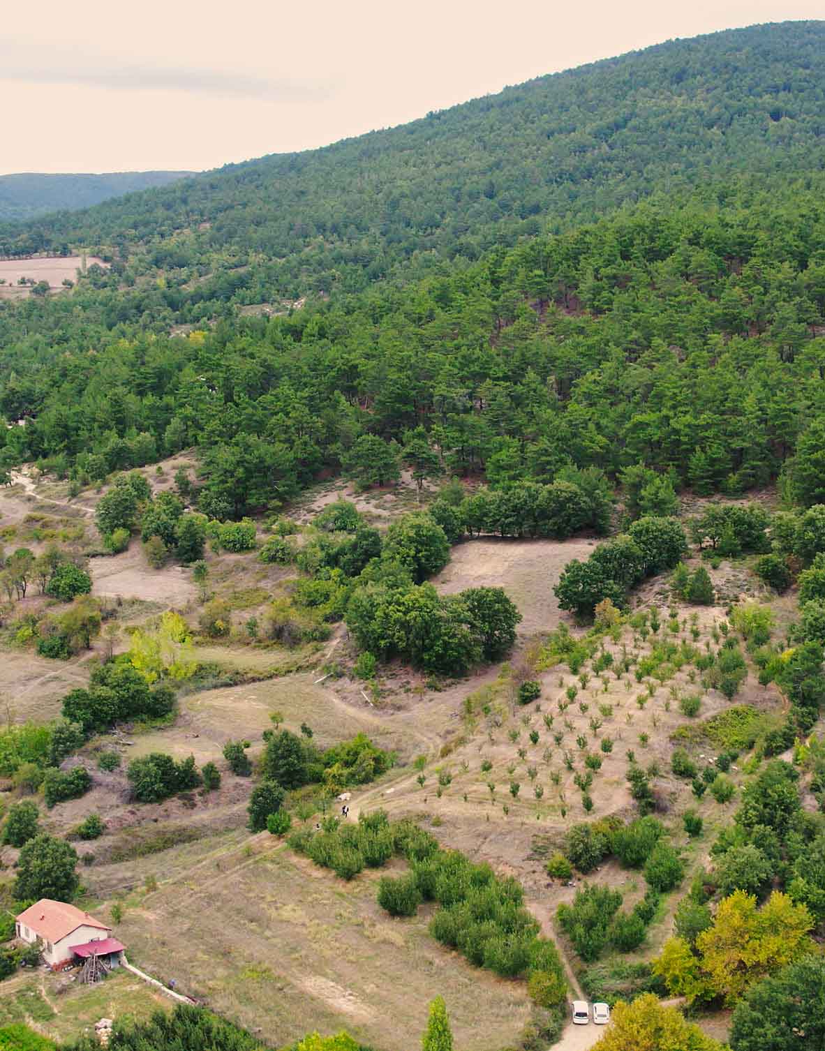 Gürses Arsa - Bölgeleri Keşfet -  4 