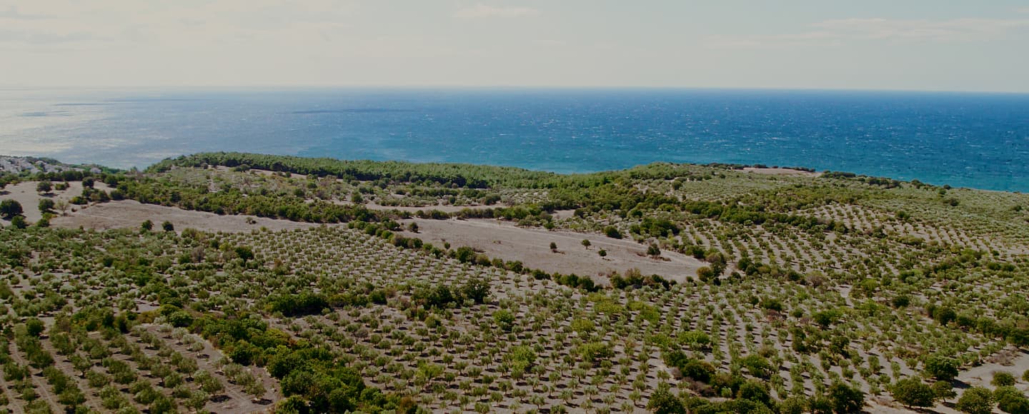 Değeri Artan Doğru Arsalar - Gürses Arsa